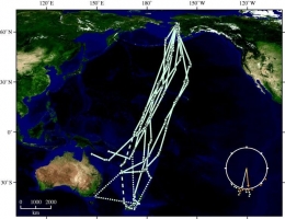 Sistem navigasi burung bar-tailed godwit yang sangat akurat dan berkesuaian dengan sistem trasmiter satelit. Sumber: Gill et al (2008)