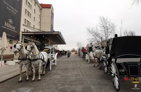 Kereta kuda dari era Habsburg kini siap mengantar turis. Sumber: koleksi pribadi