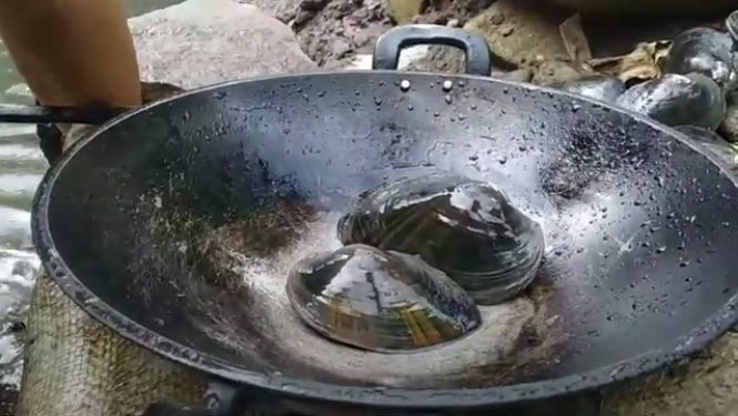 Kijing sungai yang masih segar dan siap dimasak (Dok. Youtube Watugupit)