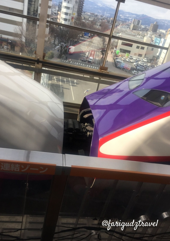Dua lokomotif yang bersatu dari Tokyo, tapi berpisah di Fukushima. Sumber : koleksi pribadi