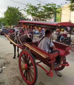 Foto: Kuda Delman di Kota Duri, daya tarik pariwisata baru