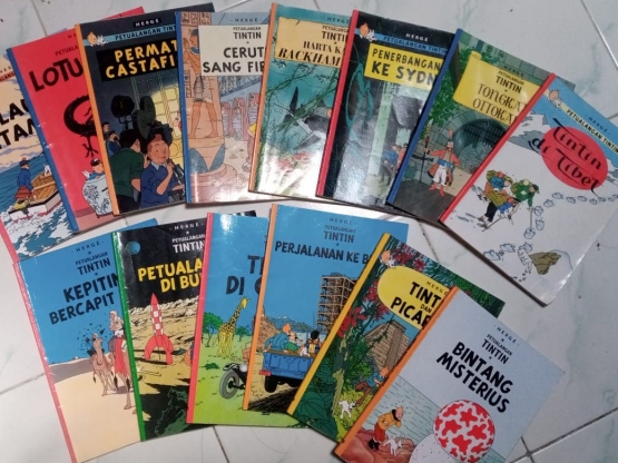 Serial Komik Tintin, dokumentasi pribadi