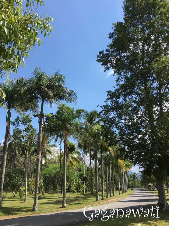 Proyek masa depan Borobudur; Sound of Borobudur jaya (dok.Gana)