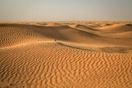 Ilustrasi gurun pasir (pixabay)