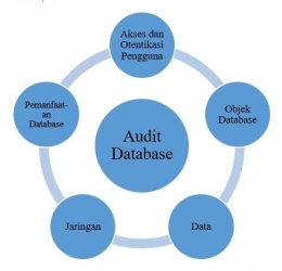 Gambar 3. Ruang Lingkup Audit Database/Dokpri