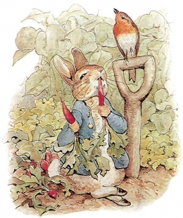 Ilustrasi Peter Rabbit (Sumber: Dover Publications, Inc. via britannica.com)