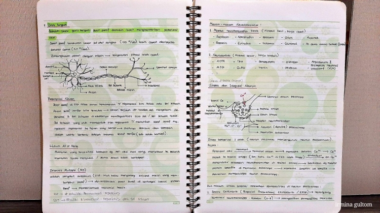 Salah satu ringkasan materi kuliah tentang Sistem Saraf (Dokumentasi pribadi)