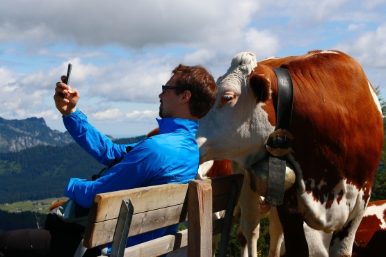Selfie manusia dan sapi pun ada | Photo by Radek Kozák on Unsplash