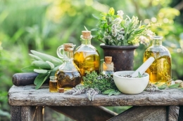 Tren produk skincare yang berbahan dasar dari tumbuhan | Foto diambil dari Shutterstock via Kompas