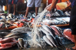 Suasana Pasar Ikan Oeba Kupang. Foto: mediaindonesia.com.
