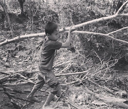 anak-anak negeri Timor bertarung di hutan untuk mencari kayu api. Ilustrasi foto oleh Agustardhy
