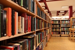 Books Library (pixabay)