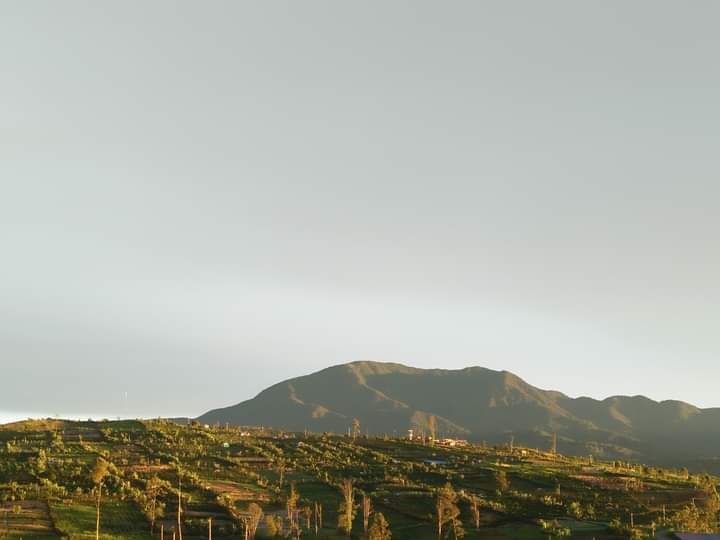 Bukit dan lahan pertanian dengan latar belakang gunung 