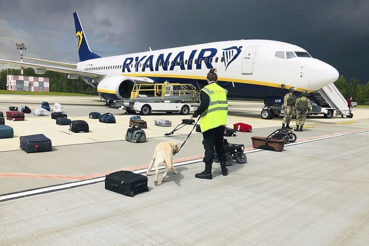 Petugas keamanan membawa seekor anjing pengendus untuk memeriksa bagasi penumpang Ryanair dari Athena menuju Lituania | Foto diambil dari Kompas