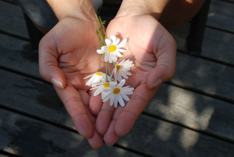 ilustrasi memberi bunga, tanda tetap rendah hati kepada orang lain. (sumber: pixabay.com/GLady)