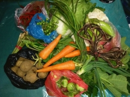 Ilustrasi belanja sayuran. (Foto NURSINI RAIS)
