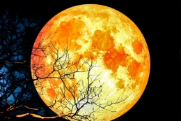 Super blue blood moon (foto kompas)
