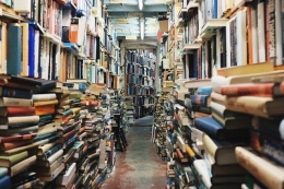 Ilustrasi tumpukan buku di perpustakaan (sumber gambar: pixabay.com)