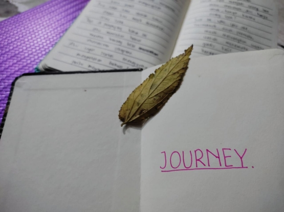 Buku Journey, dokumen pribadi
