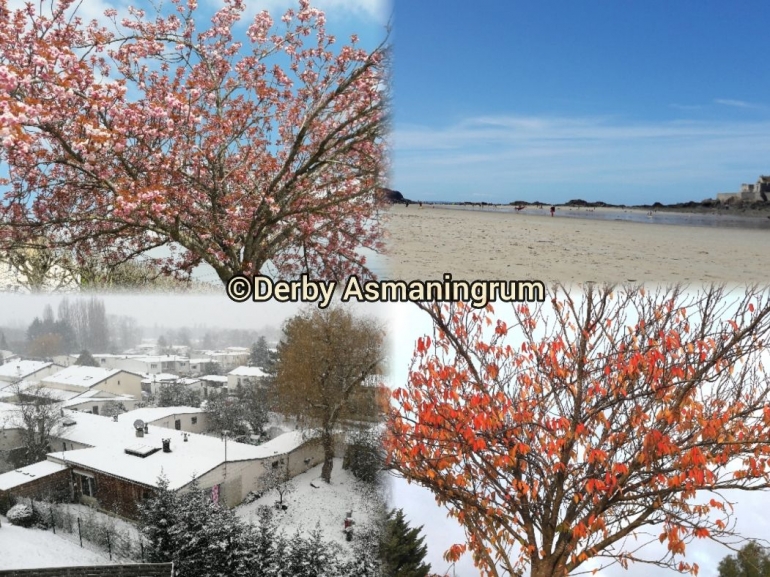 Dari kiri atas searah jarum jam: musim semi, musim panas, musim gugur, musim dingin (foto: Derby Asmaningrum) 