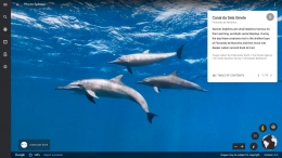 Melihat lumba-lumba spinner yang berenang di Kepulauan Fernando de Noronha, Brazil | Foto diambil dari Google Earth