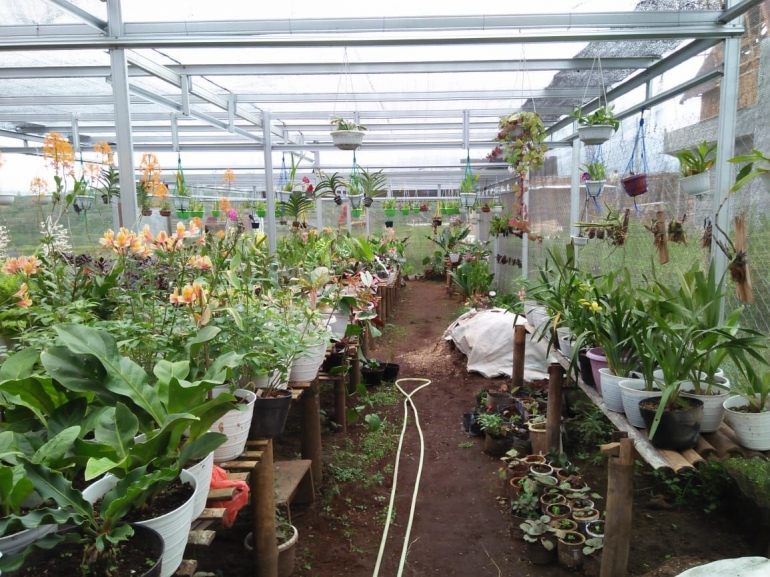 Kebun bunga Tartu Flower Garden (Dokpri)