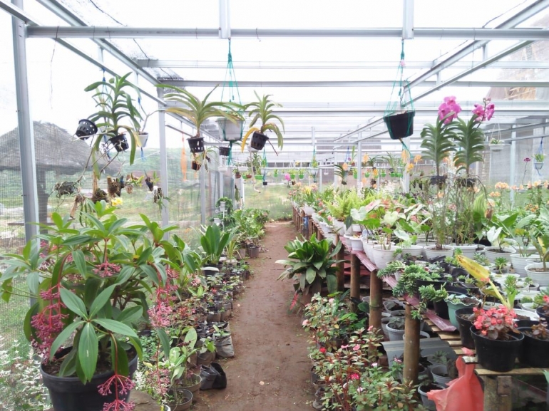 Kebun bunga Tartu Flower Garden (Dokpri)
