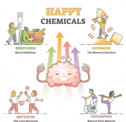 Ilustrasi.Happy chemicals good positive mood hormonal/shutterstock. 