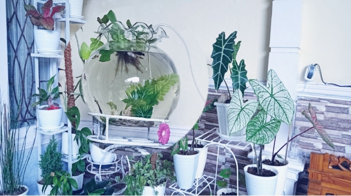 Penempatan akuarium akan mempercantik taman teras.