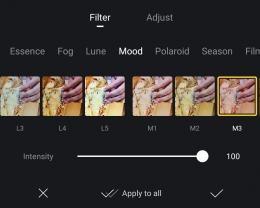 Berbagai macam pilihan filter video. Sumber : tangkapan layar VN