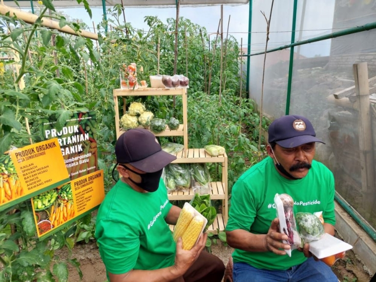 Petani Organik Sumbergondo