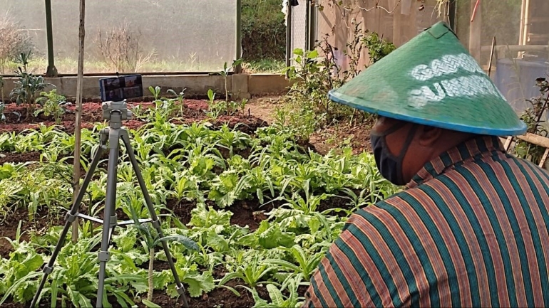 Petani Paparkan Pengalam Bertani Organik / dokpri