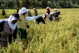 Foto: regionalkompas.com