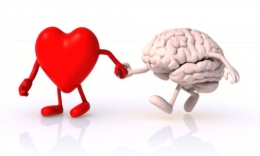 Ilustrasi. jantung dan otak yang berjalan bergandengan/shutterstock.