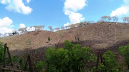 Hutan menuju Desa Lere Kecamatan Parado Bima, 2019 (Dokpri)