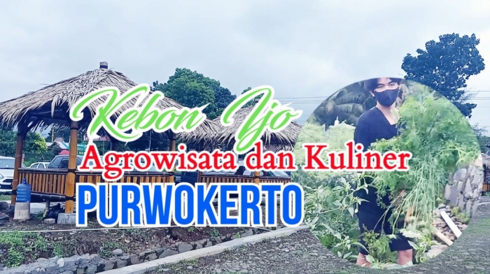 Pengunjung makan dan memanen hasil kebun , dokumen Pribadi
