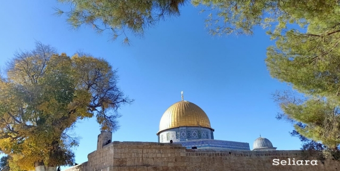 Ilustrasi Dome of The Rock dilihat dari jalanan di depan Masjid Al Marwani dari arah Bukit Zaitun. Foto Seliara (dokpri)