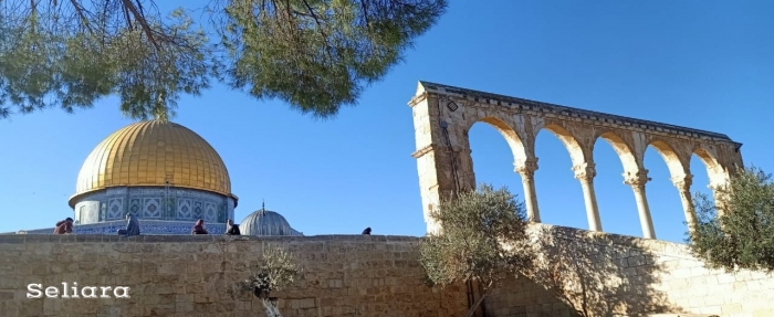 Ilustrasi Dome of The Rock dilihat dari jalanan di depan Masjid Al Marwani dari arah Bukit Zaitun. Foto Seliara (dokpri)