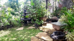 Cara membuat taman sederhana yang indah dan asri di rumah. | Foto: Wahyu Sapta.
