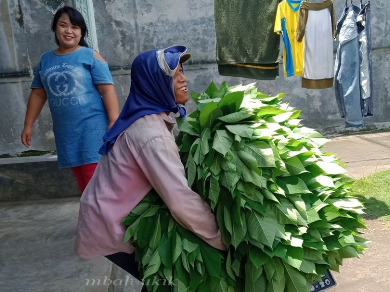 Pengepul kecil sedang mengirim ke rumah. Dokpri