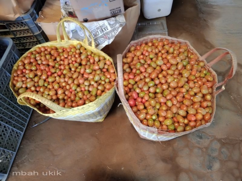 50 kg untuk dua pedagang di Keputran. Dokpri