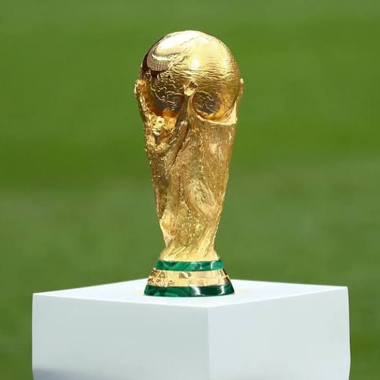 Piala Dunia sepakbola, sumber gambar ; fifa.com