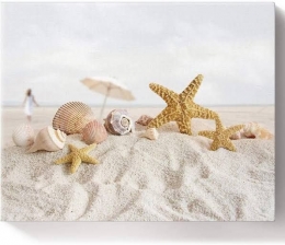 https://www.amazon.com/BULING-Starfish-Seashell-Painting-Numbers/dp/B082HT1BM7