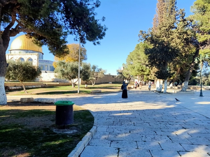 Ilustrasi pemandangan area Masjidil Aqsa dilihat dari depan Masjid Al Marwani, tampak Dome of The Rock. Dokpri