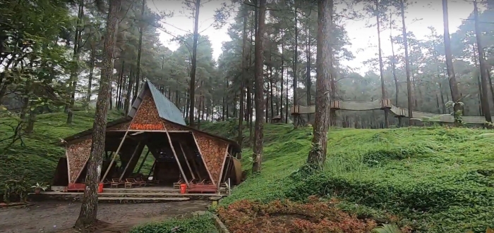 Wisata hutan pinus limpakuwus cocok untuk melepas kejenuhan-dokumen Pribadi