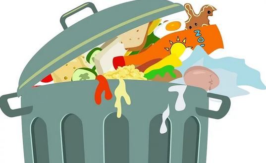 Food Waste (Image by: Pixabay)
