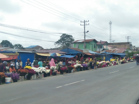 Penjual bunga krisan di sepanjang jalan lintas Kabanjahe-Medan| Dokpri