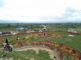 Taman 1.000 Bunga Desa Raya, Berastagi, Tanah Karo| Dokpri