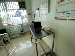 Timmy, Kucing Kami Sedang Diperiksa di Rumah Sakit Hewan Provinsi Jawa Barat. Sumber: dokumentasi pribadi.