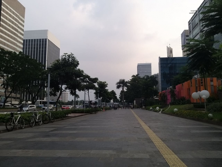 Jalur2 pedestrian lebar, dengan pot2 tanaman yang jarang, serta tanaman2 yang rendah/perdu, kurang membuat adem. Padahal, Jakarta panas sekali di siang hari. Jika hujan pun, pohon2 besar mampu memayungi kita ....Dokumentasi pribadi